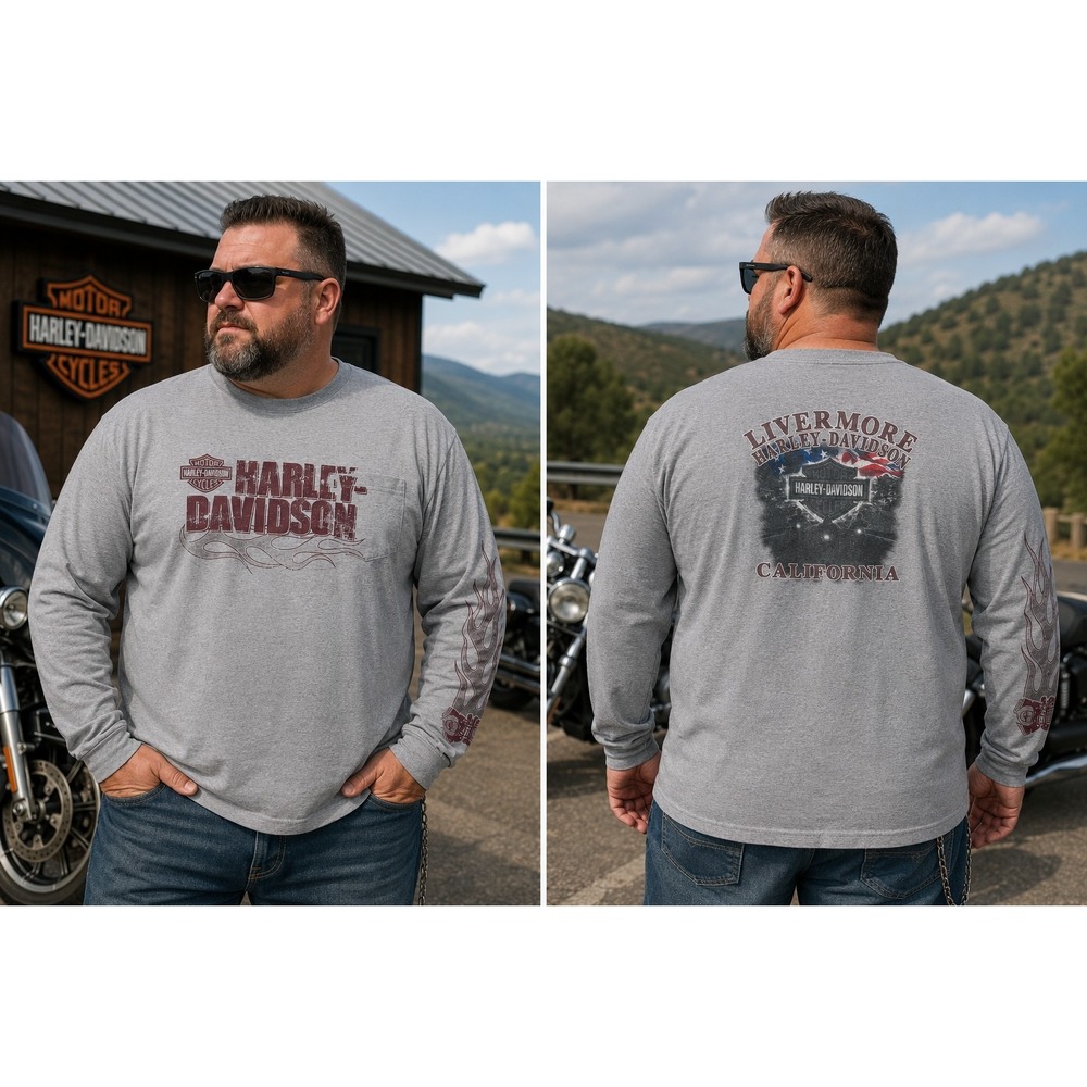 HARLEY DAVIDSON Men's 3XL Gray Long Sleev Springer Design T-shirt -1890
